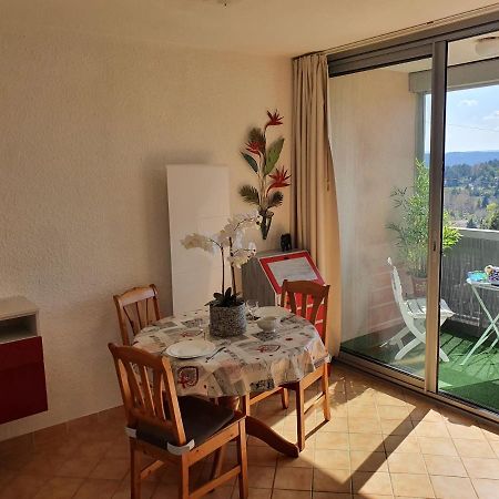 La Vue Du Chateau - Tout Confort Greoux-les-Bains ภายนอก รูปภาพ